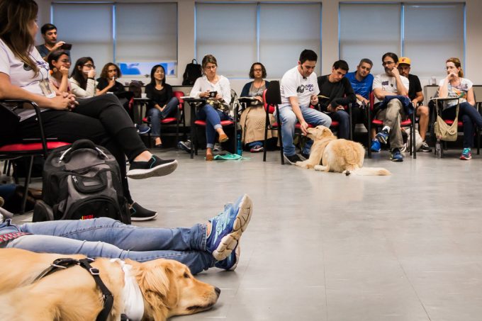 22.04.2018 – Workshop Tudo de Cão