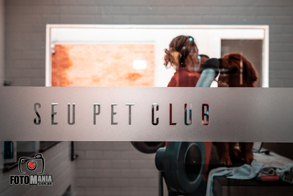 23.02.2019 – Carnaval no Seu Pet Club